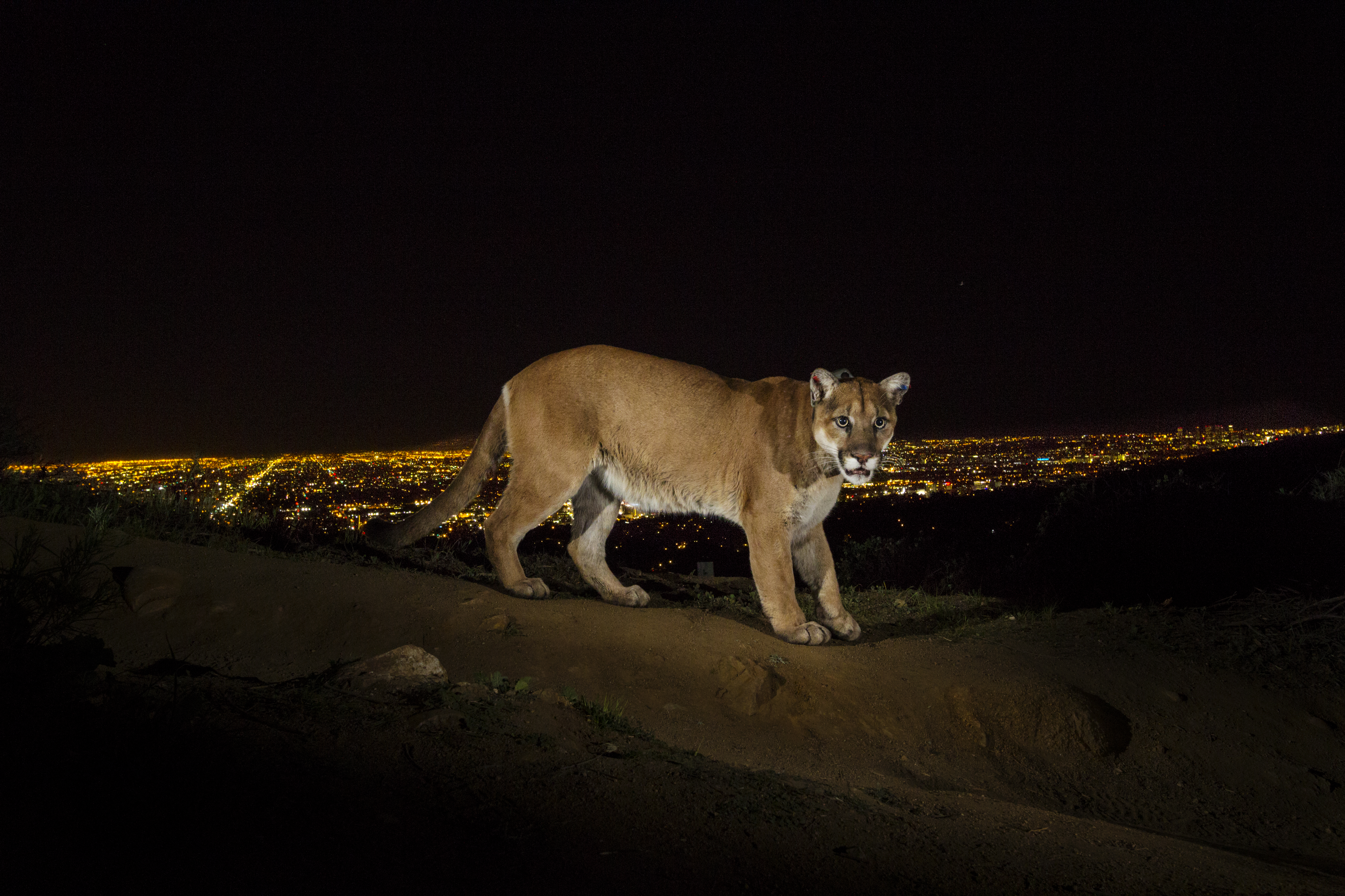 National Geographic Live
